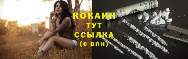 apvp Осинники