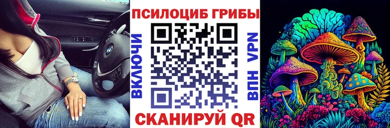 закладки  Конаково  Галлюциногенные грибы Psilocybe 